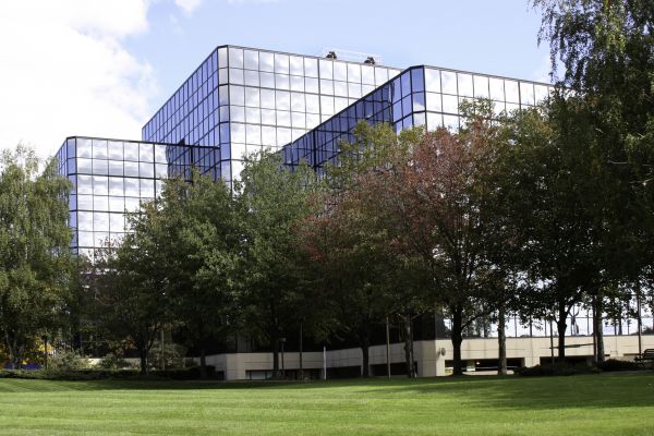 Commercial Tree Trimming in South Bend