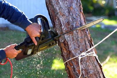 Tree Trimming Equipment